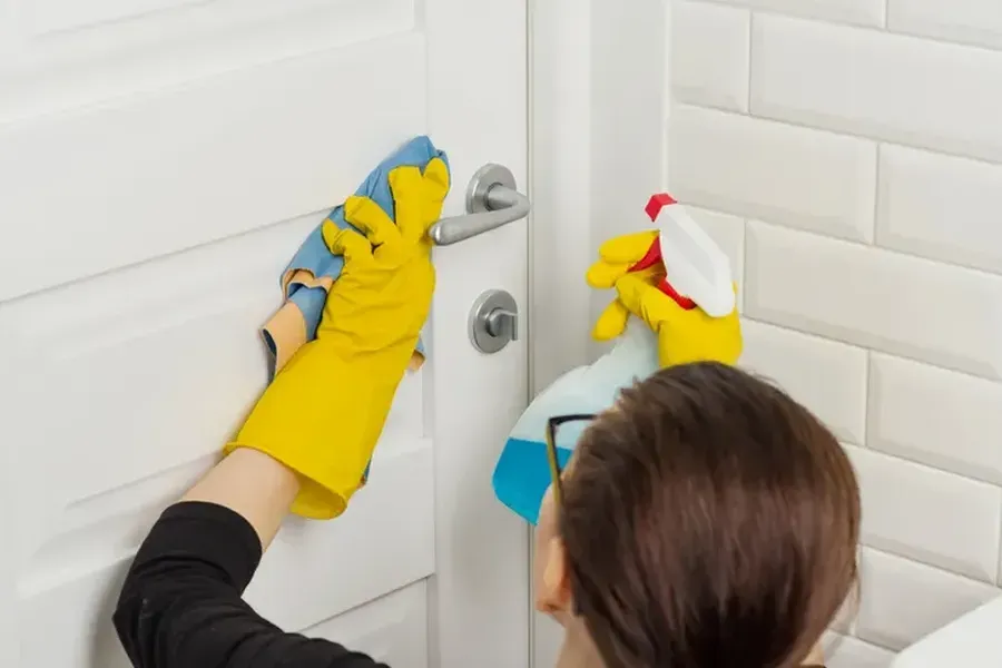 Deep Cleaning For Allergy Relief And Prevention Iowa City, IA