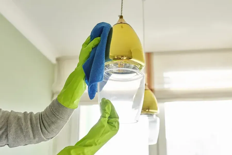 Deep Cleaning For Allergy Relief And Prevention in Iowa City, IA