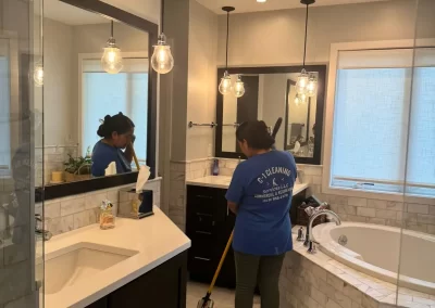 Home Cleaner