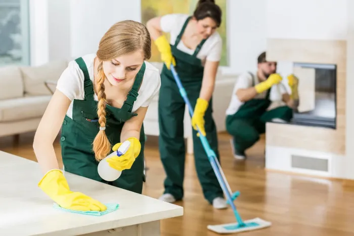 Janitorial Service Janitorial Service